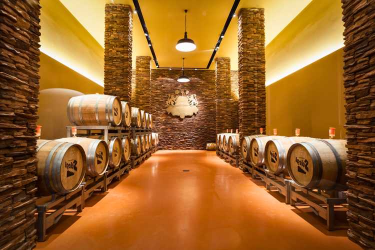 Unforgettable experiences in Salzburg – Guided tours, day trips, tastings, and authentic local adventures in 2026